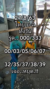 หวยหุ้นวันนี้ 27/8/63 ชุดที่ 15