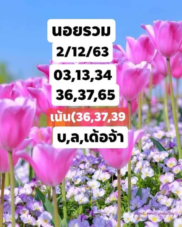 หวยฮานอยวันนี้ 2/12/63 ชุดที่13