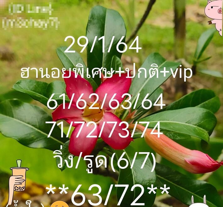 หวยฮานอยวันนี้ 29/1/64 ชุดที่7