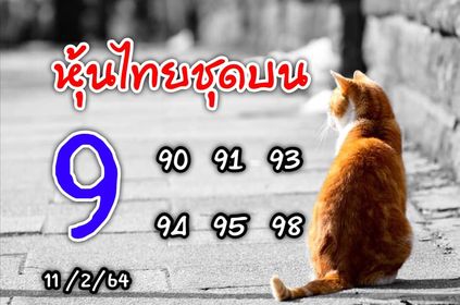 หวยหุ้นวันนี้ 11/2/64 ชุดที่14