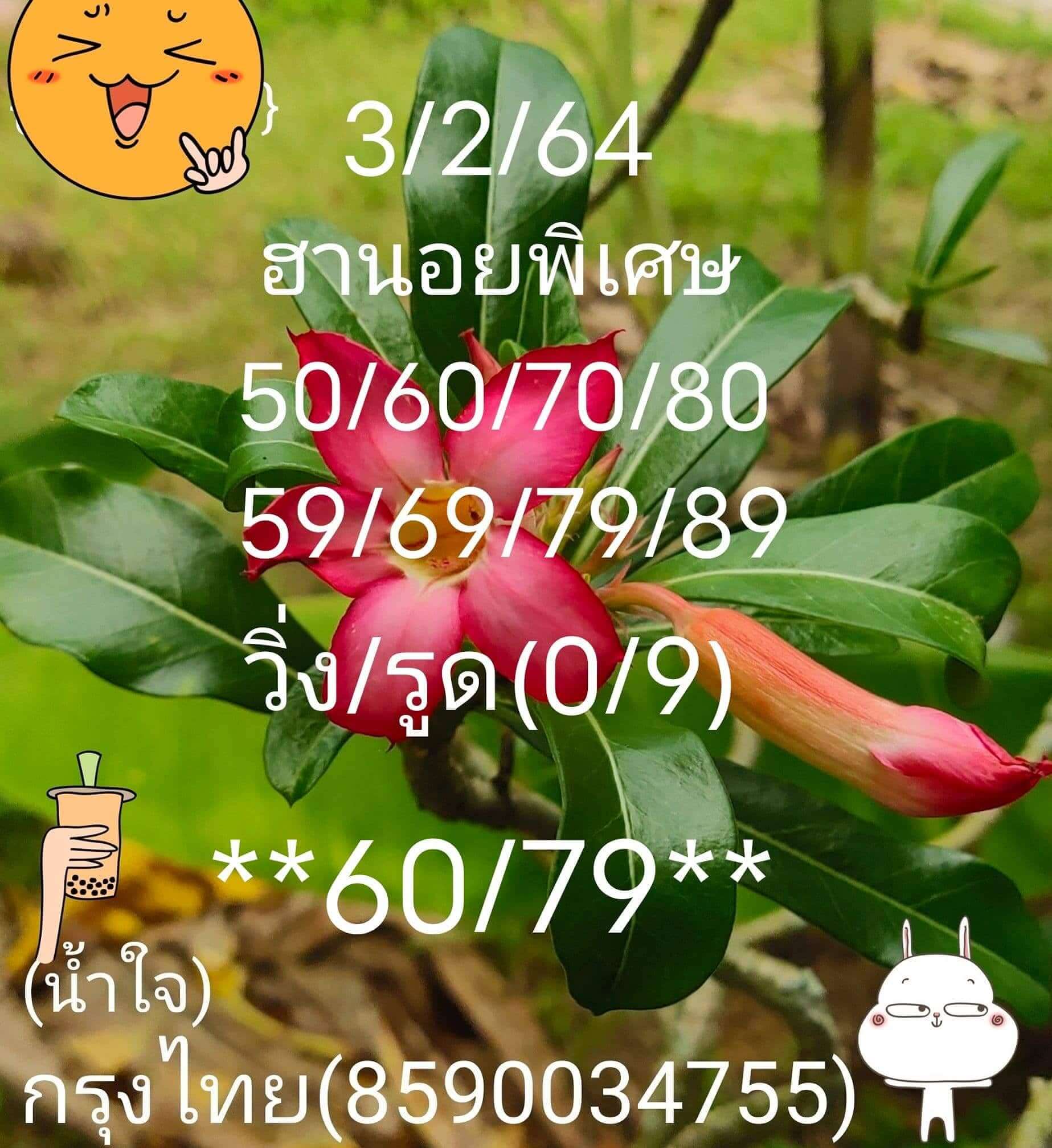 หวยฮานอยวันนี้ 3/2/64 ชุดที่14