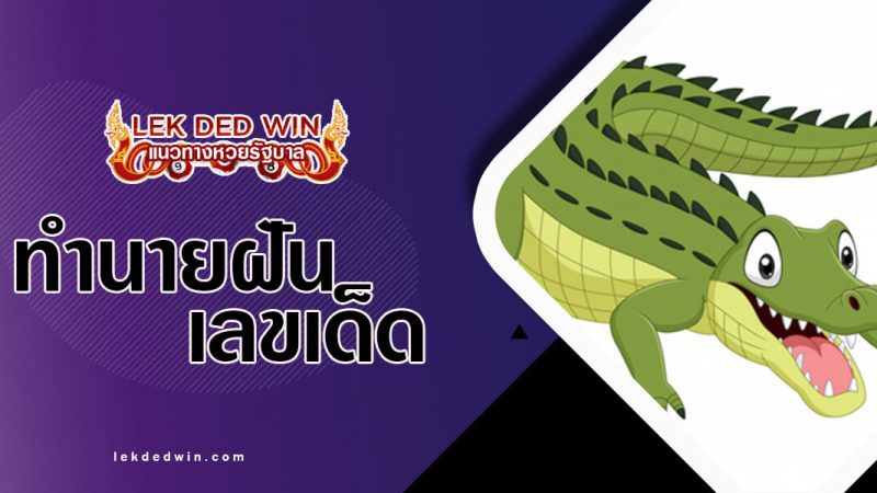 ภาพปกทำนายฝันจระเข้