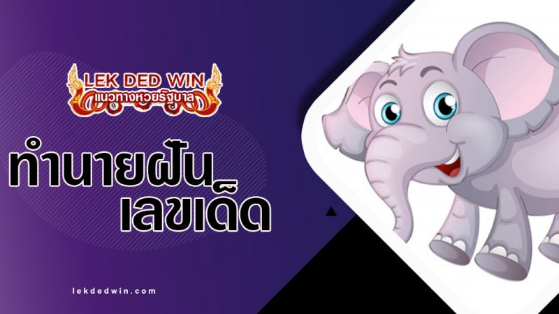 ภาพปกทำนายฝันช้าง