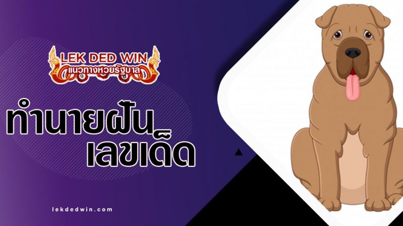 ภาพปกทำนายฝันสุนัข