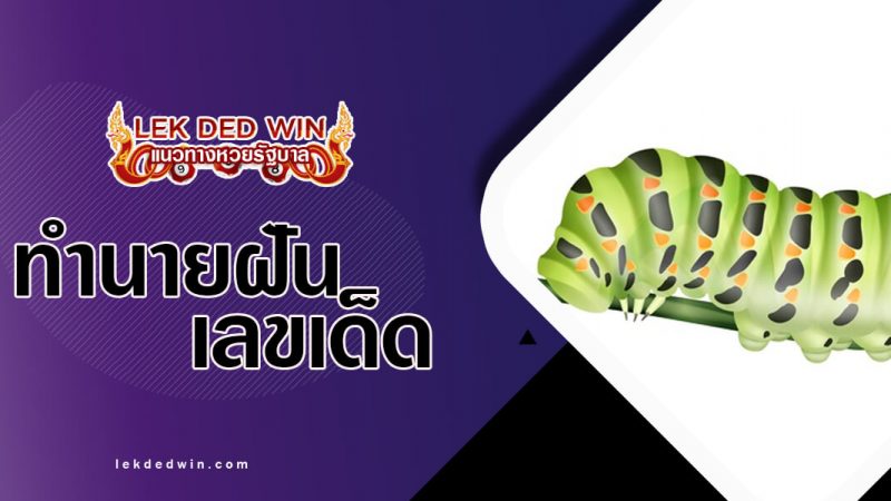 ภาพปกทำนายฝันหนอน