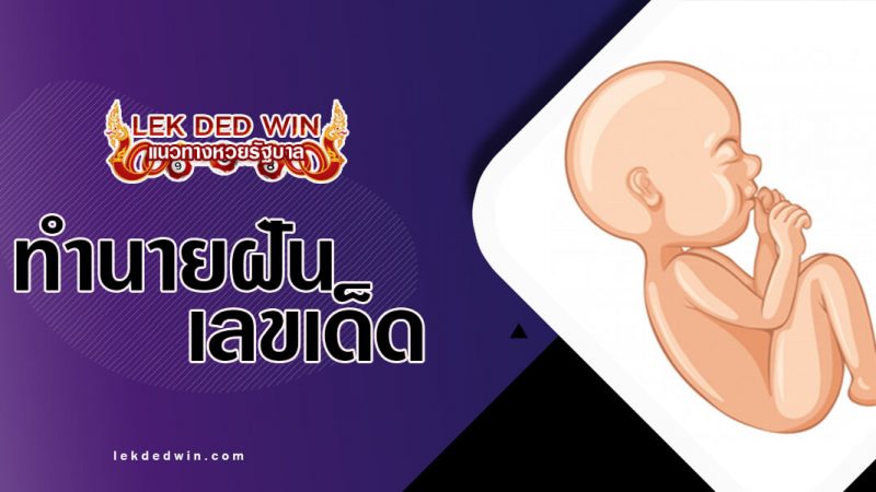 ภาพปกทำนายฝันเด็กทารก