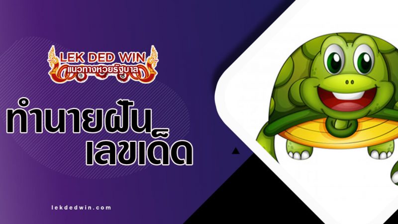 ภาพปกทำนายฝันเต่า