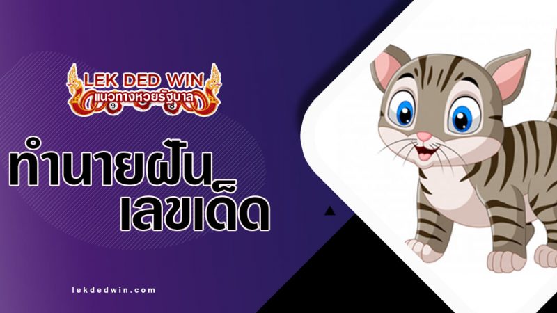 ภาพปกทำนายฝันแมว