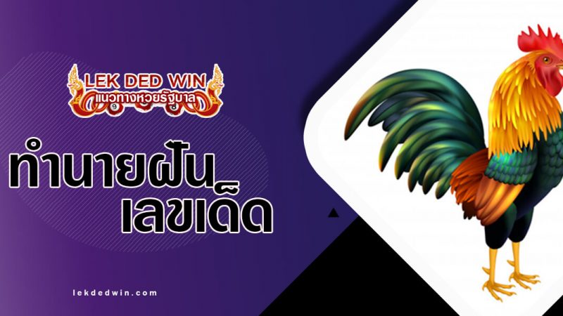 ภาพปกทำนายฝันไก่