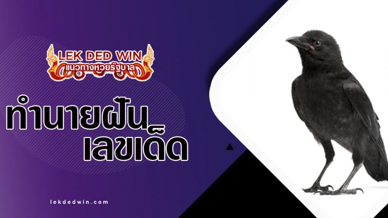 ภาพปกทำนายฝันกา