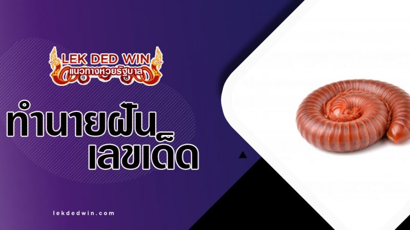 ภาพปกทำนายฝันกิ้งกือ
