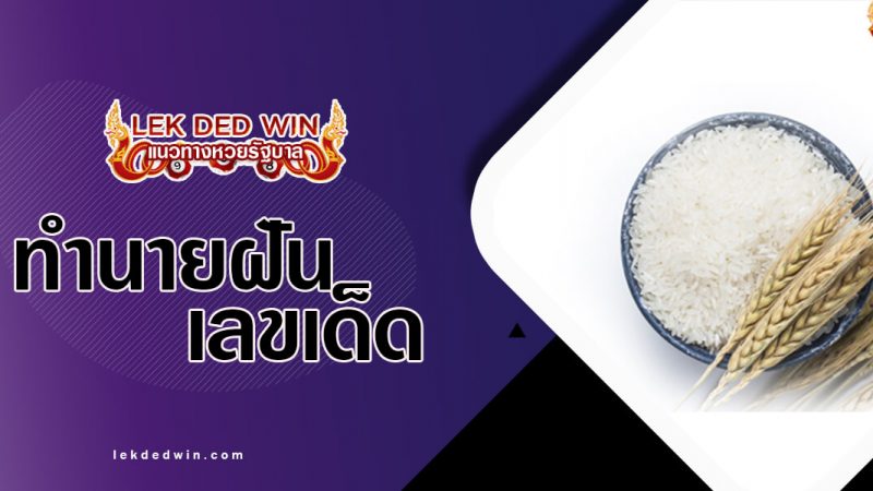 ภาพปกทำนายฝันข้าว