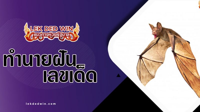 ภาพปกทำนายฝันค้างคาว