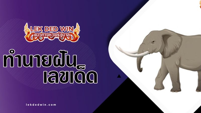 ภาพปกทำนายฝันงาช้าง