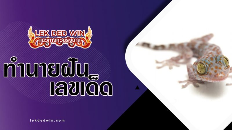ภาพปกทำนายฝันตุ๊กแก