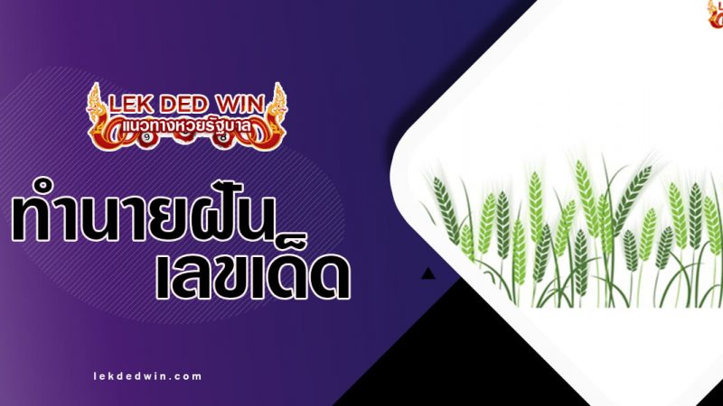 ภาพปกทำนายฝันทุ่งนา