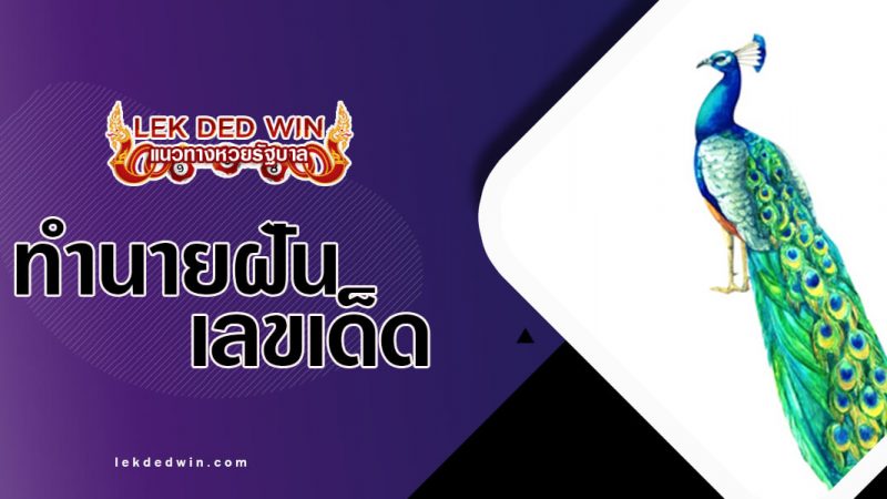 ภาพปกทำนายฝันนกยูง