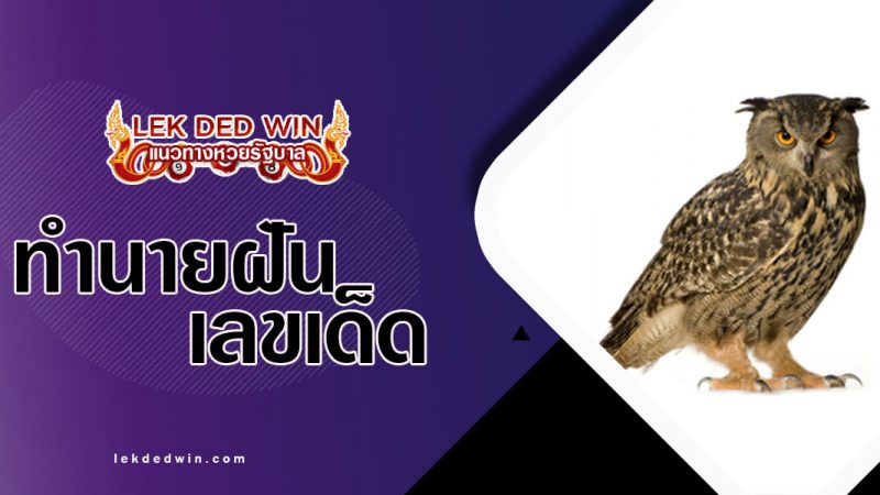ภาพปกทำนายฝันนกเค้าแมว