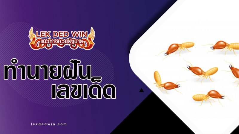 ภาพปกทำนายฝันปลวก