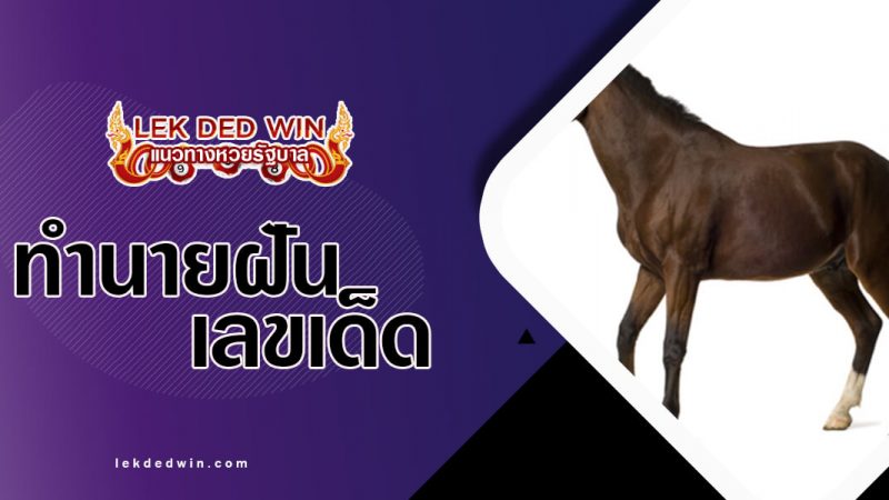 ภาพปกทำนายฝันม้า