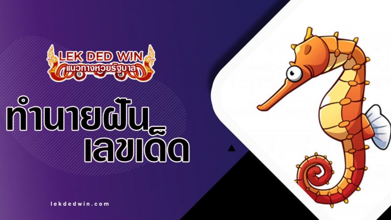 ภาพปกทำนายฝันม้าน้ำ