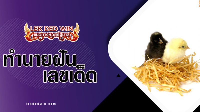 ภาพปกทำนายฝันรังนก