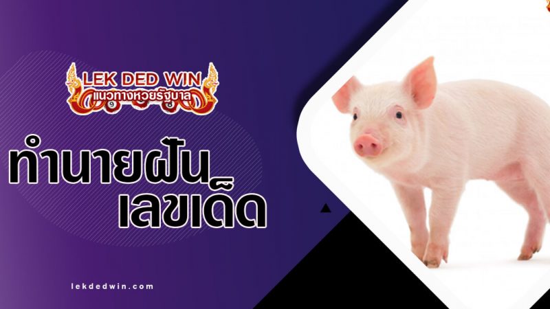 ภาพปกทำนายฝันหมู