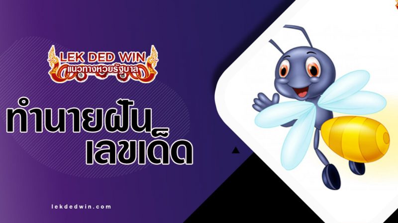 ภาพปกทำนายฝันหิ่งห้อย