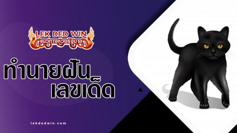 ภาพปกทำนายฝันแมวดำ