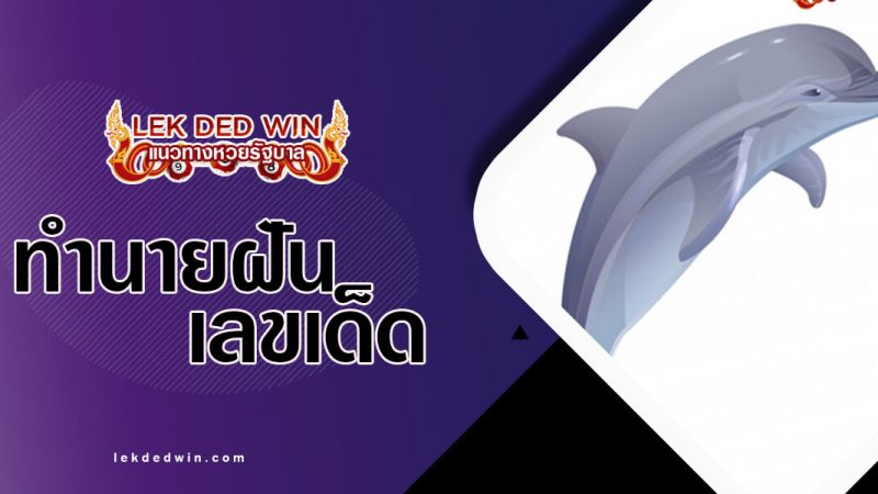 ภาพปกทำนายฝันโลมา