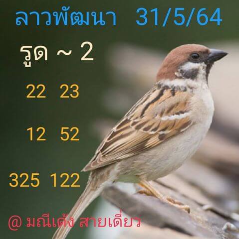 หวยลาววันนี้ 31/5/64 ชุดที่6