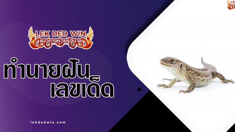 ภาพปกทำนายฝันจิ้งเหลน