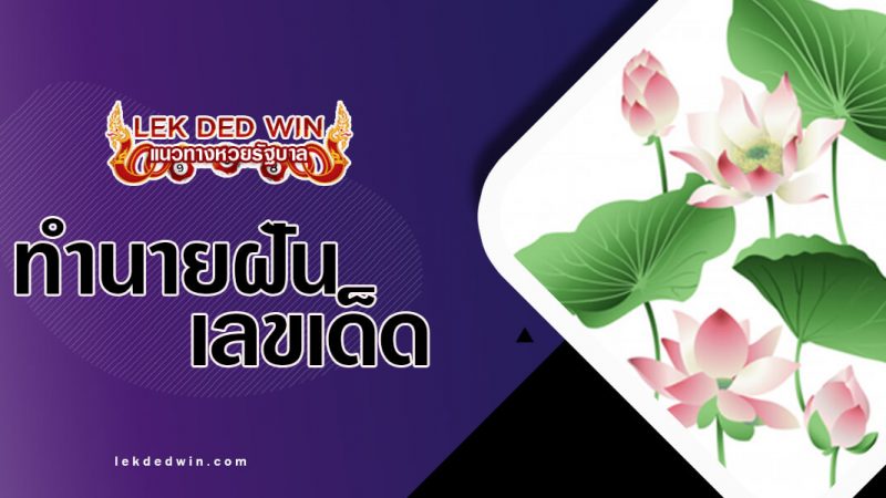 ภาพปกทำนายฝันดอกบัว