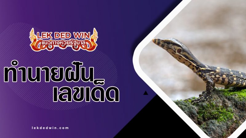ภาพปกทำนายฝันตัวเงินตัวทอง