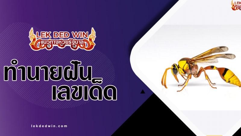 ภาพปกทำนายฝันต่อ