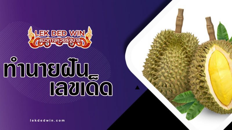 ภาพปกทำนายฝันทุเรียน