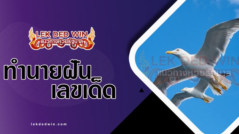 ภาพปกทำนายฝันนกนางนวล