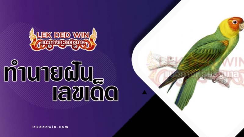 ภาพปกทำนายฝันนกแก้ว