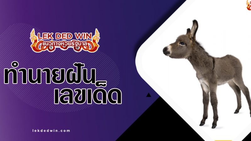 ภาพปกทำนายฝันลา