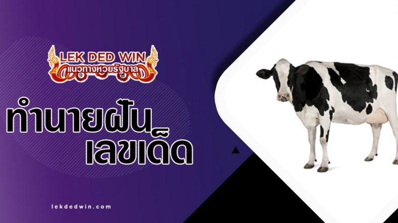 ภาพปกทำนายฝันวัว