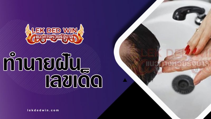 ภาพปกทำนายฝันสระผม
