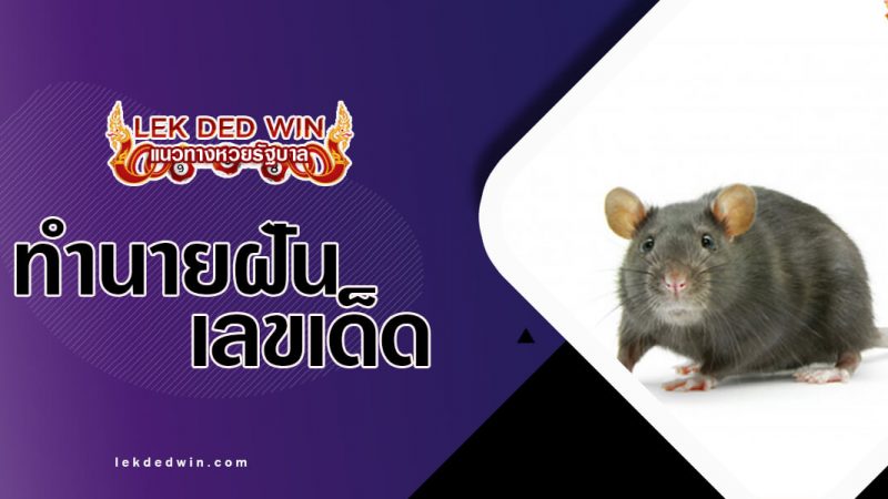 ภาพปกทำนายฝันหนู