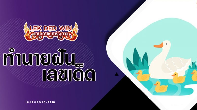 ภาพปกทำนายฝันเป็ด