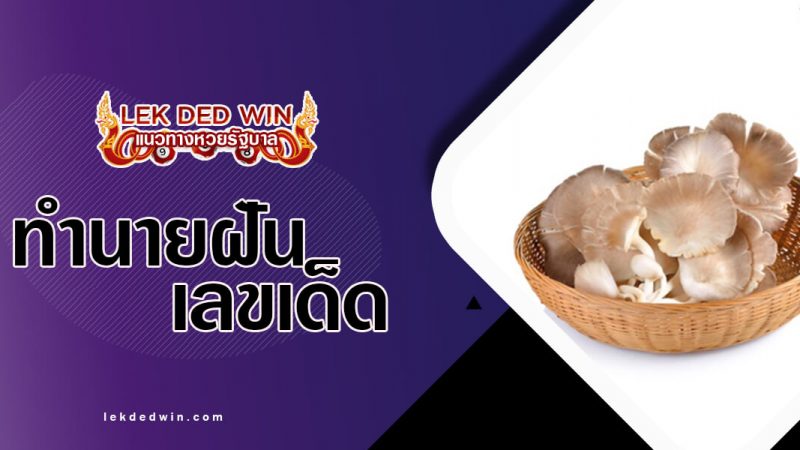 ภาพปกทำนายฝันเห็ด