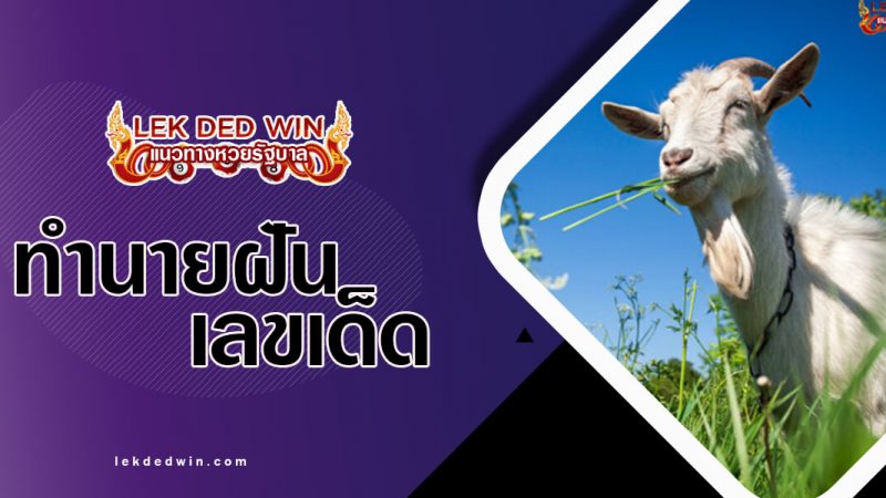 ภาพปกทำนายฝันแพะ