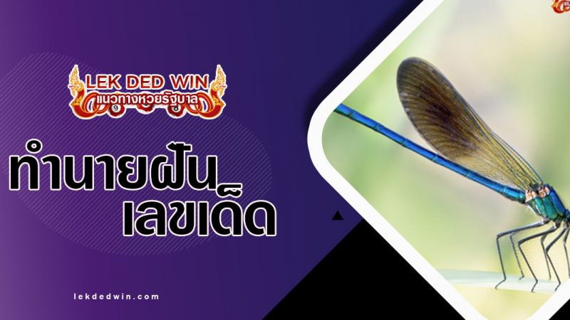 ภาพปกทำนายฝันแมลงปอ