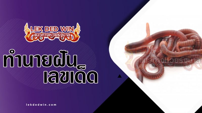 ภาพปกทำนายฝันไส้เดือน