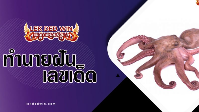 ภาพปกทำนายหมึก