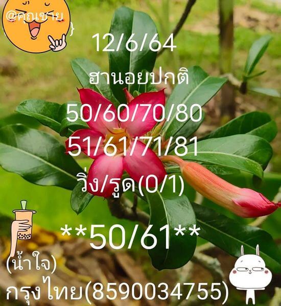 หวยฮานอยวันนี้ 12/6/64 ชุดที่10