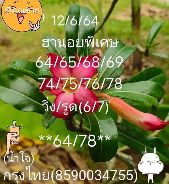 หวยฮานอยวันนี้ 12/6/64 ชุดที่4